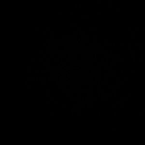 2 Victoria secrets pink tanks tops size small